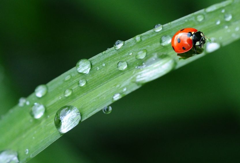 Nos pratiques responsables